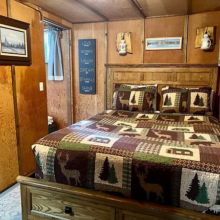 Mt Rainier Little Green Cabin On Big Creek! Ashford Ngoại thất bức ảnh
