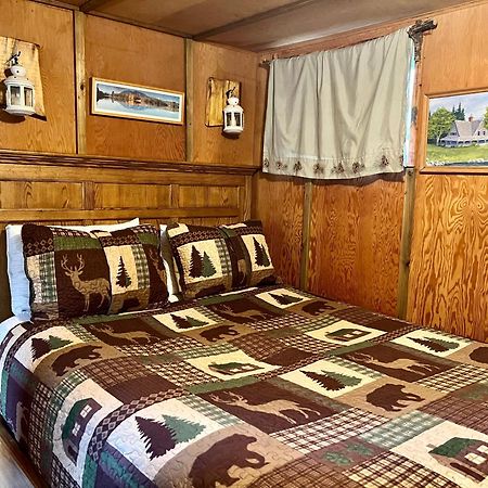 Mt Rainier Little Green Cabin On Big Creek! Ashford Ngoại thất bức ảnh