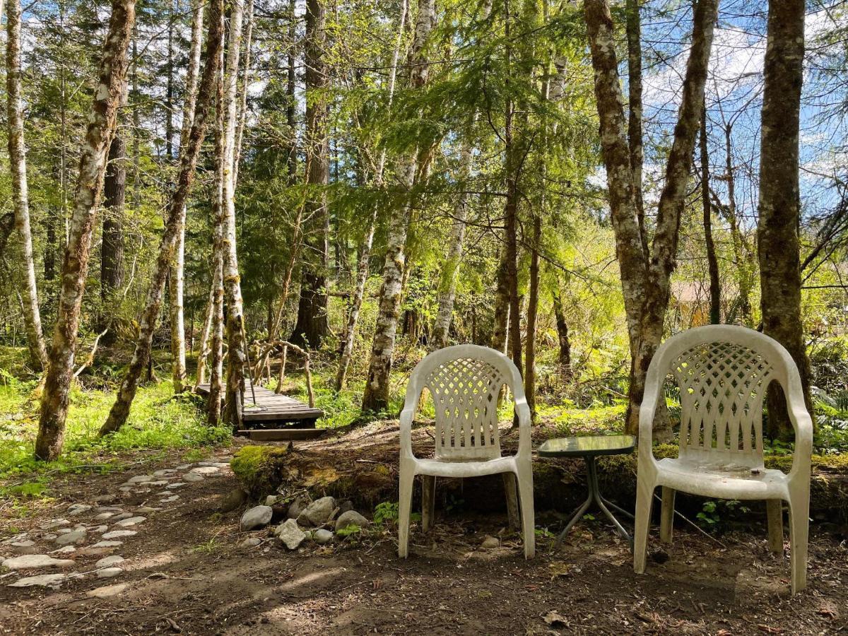 Mt Rainier Little Green Cabin On Big Creek! Ashford Ngoại thất bức ảnh