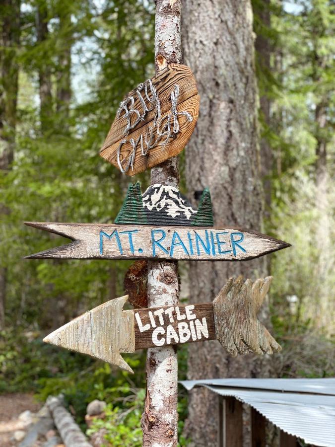 Mt Rainier Little Green Cabin On Big Creek! Ashford Ngoại thất bức ảnh