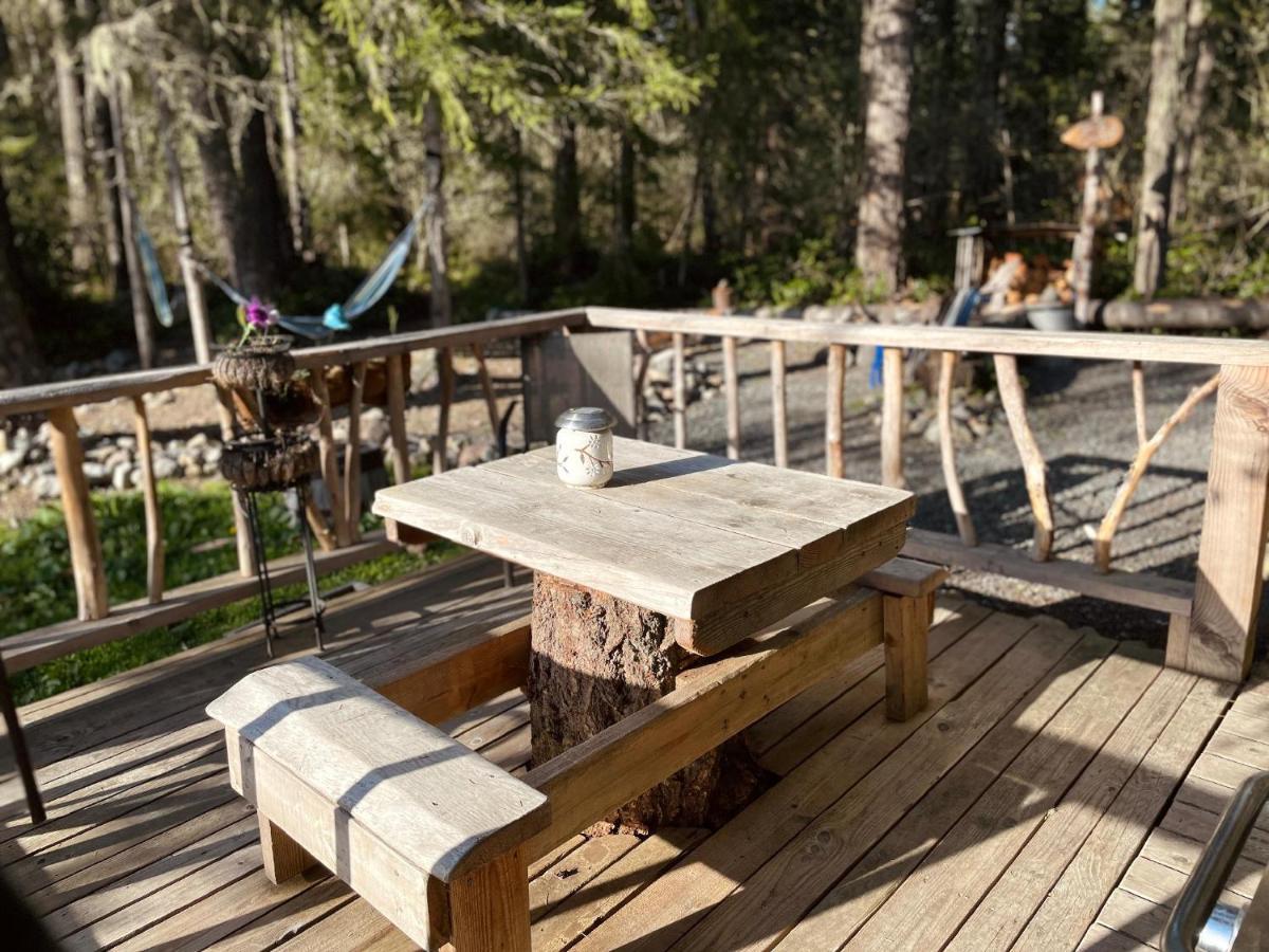 Mt Rainier Little Green Cabin On Big Creek! Ashford Ngoại thất bức ảnh
