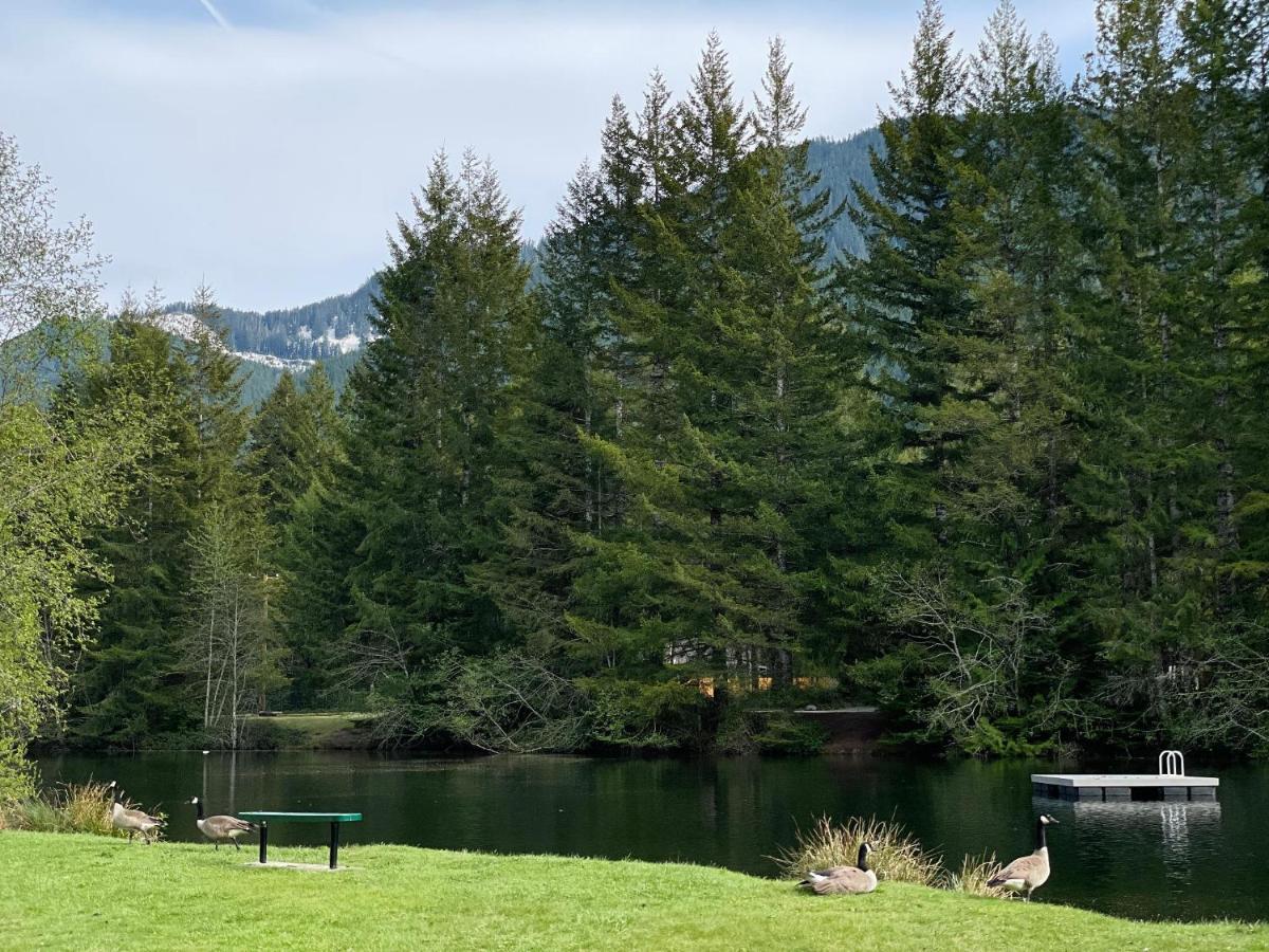 Mt Rainier Little Green Cabin On Big Creek! Ashford Ngoại thất bức ảnh