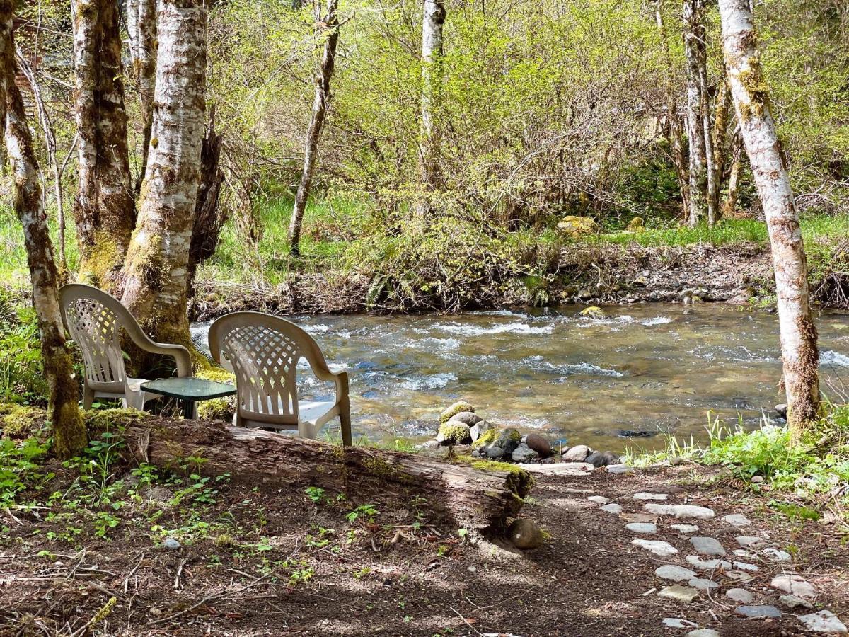 Mt Rainier Little Green Cabin On Big Creek! Ashford Ngoại thất bức ảnh