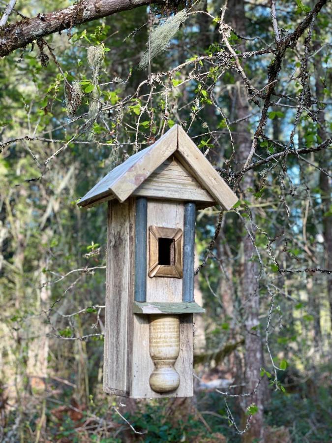 Mt Rainier Little Green Cabin On Big Creek! Ashford Ngoại thất bức ảnh