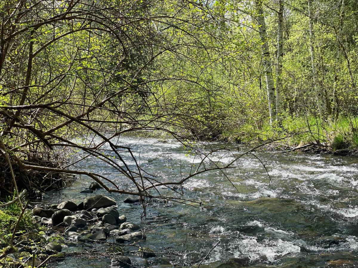 Mt Rainier Little Green Cabin On Big Creek! Ashford Ngoại thất bức ảnh