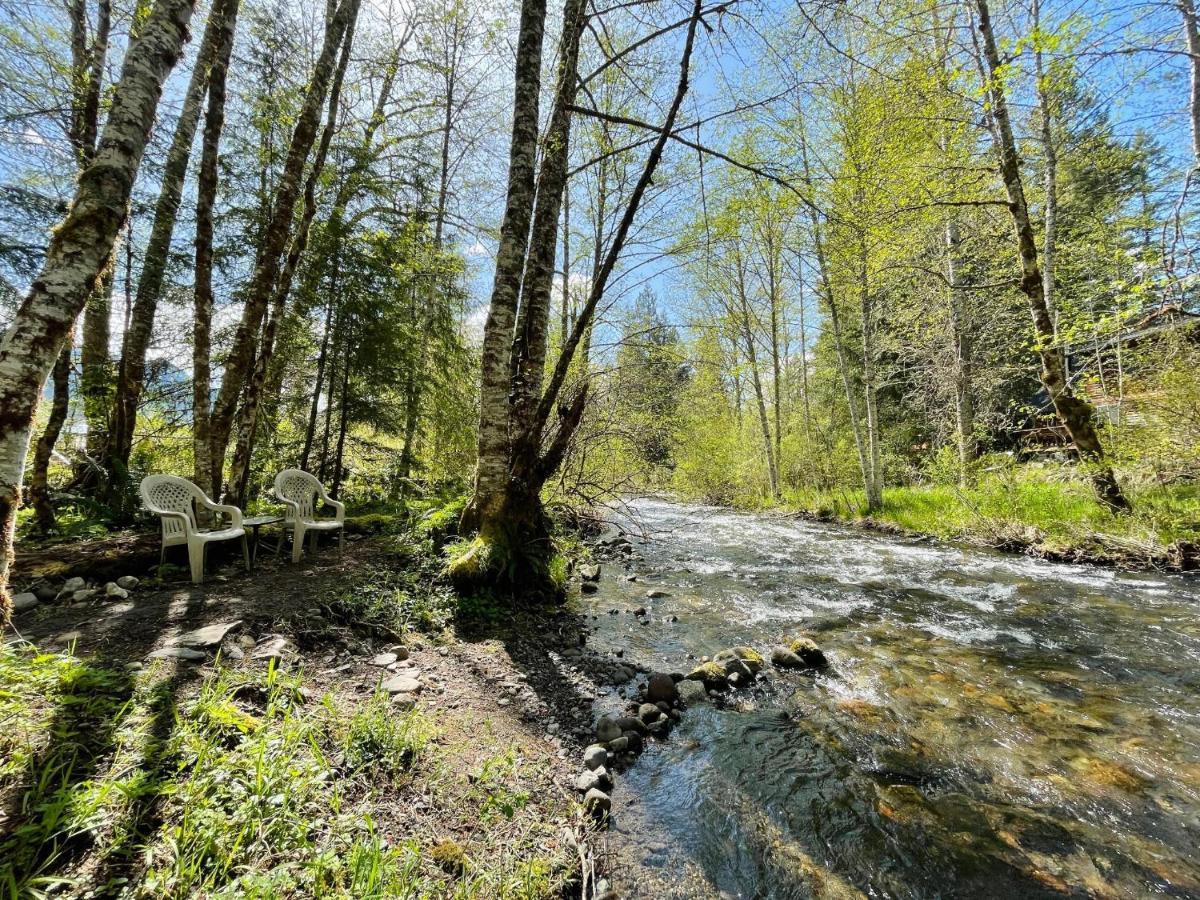 Mt Rainier Little Green Cabin On Big Creek! Ashford Ngoại thất bức ảnh