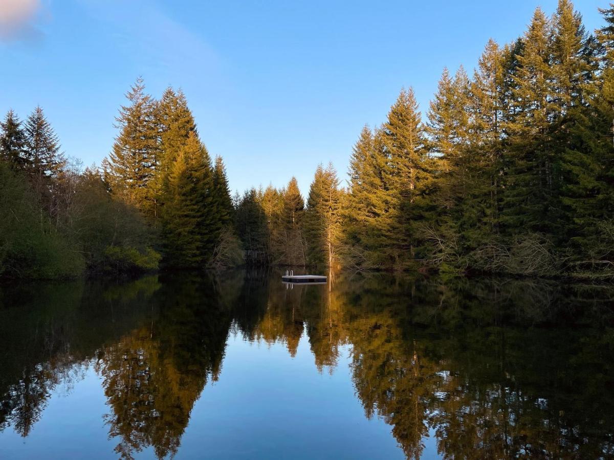 Mt Rainier Little Green Cabin On Big Creek! Ashford Ngoại thất bức ảnh