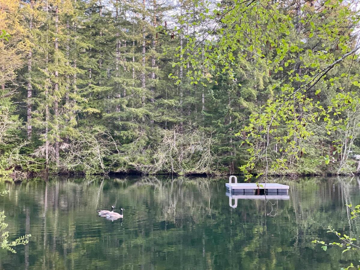 Mt Rainier Little Green Cabin On Big Creek! Ashford Ngoại thất bức ảnh