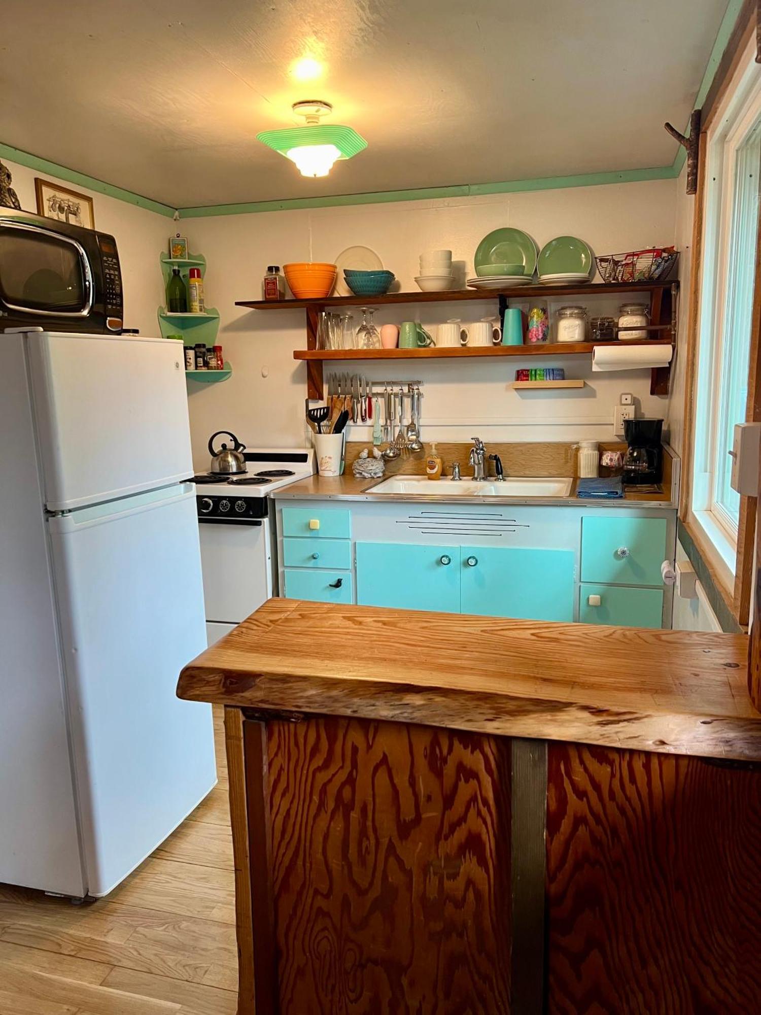 Mt Rainier Little Green Cabin On Big Creek! Ashford Ngoại thất bức ảnh