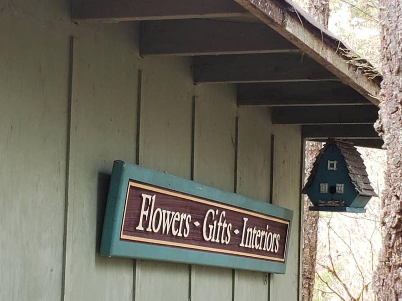 Mt Rainier Little Green Cabin On Big Creek! Ashford Ngoại thất bức ảnh