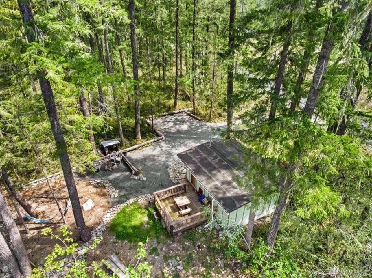 Mt Rainier Little Green Cabin On Big Creek! Ashford Ngoại thất bức ảnh